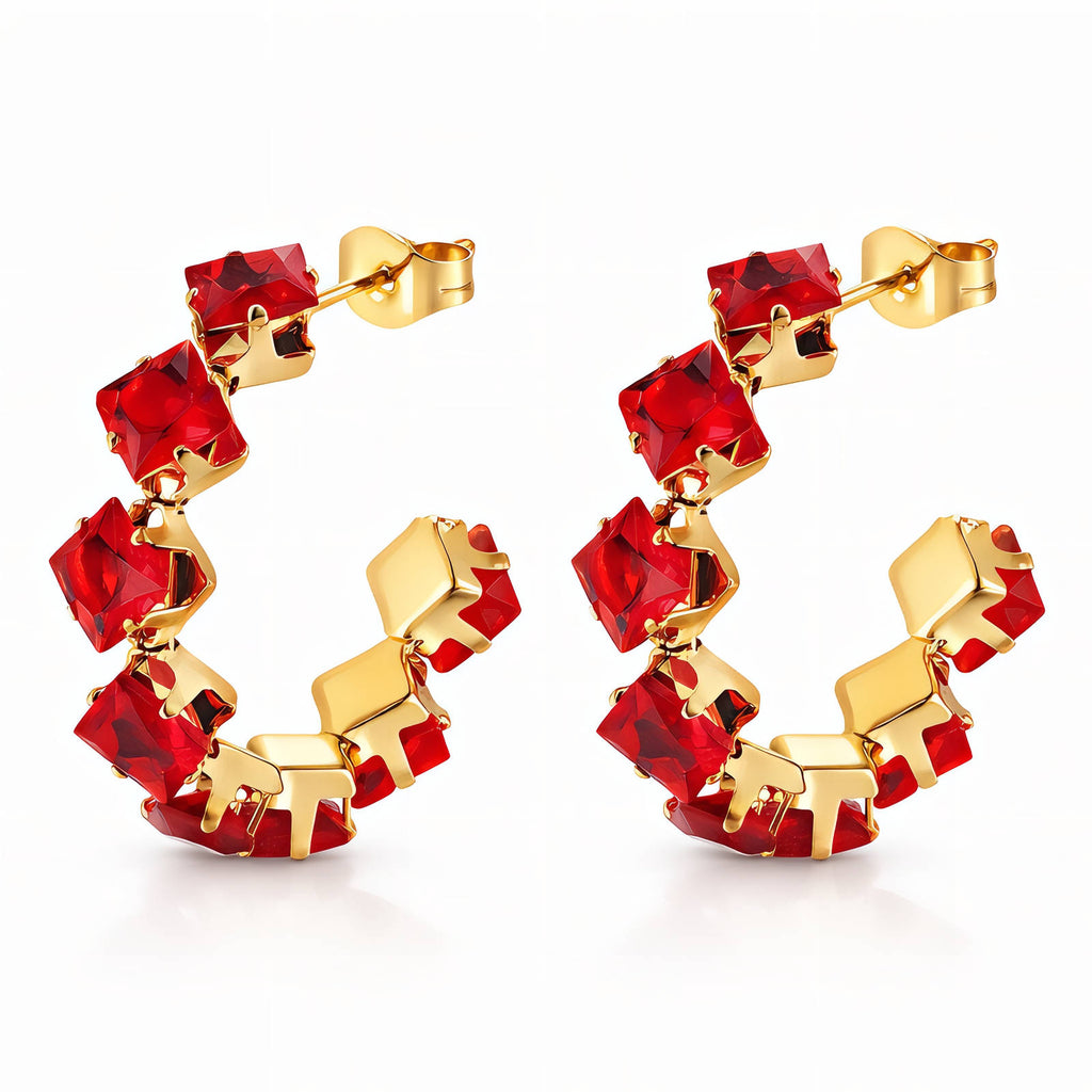Earrings #8979
