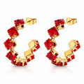 Earrings #8979