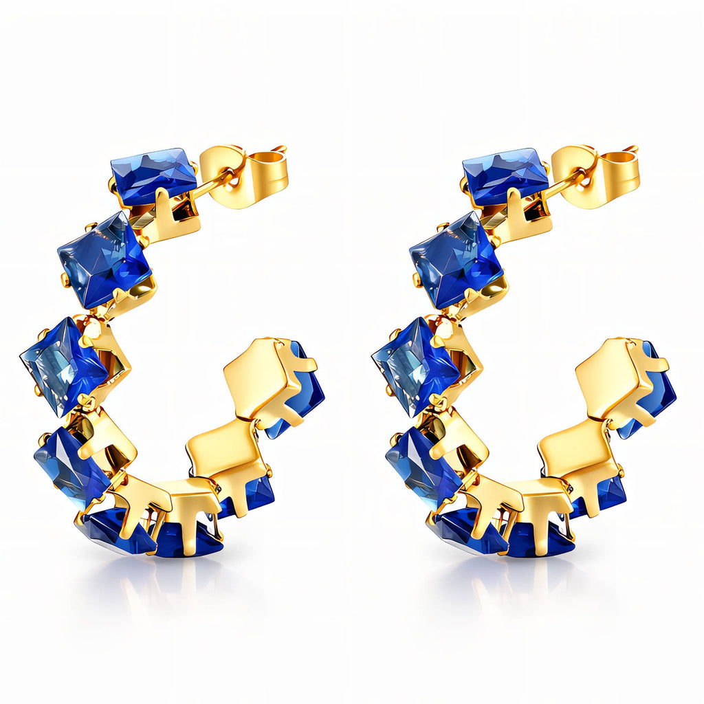 Earrings #8979